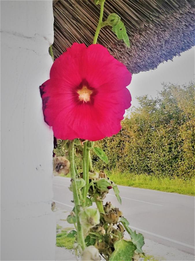 Ferienwohnung The Whispering Apple Garden Retreat Morud Exterior foto